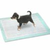Karlie PUPPY PADS - 6er Pack
