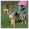 Trixie Easywalk Basic Erziehungsgeschirr - XL