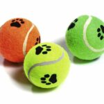 Karlie Tennisbälle mit Squeeker - 3er Set