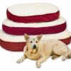 Pet-Star Liegekissen SLEEPY - XL