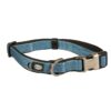 Duvoplus EXPLOR North Halsband - Petrolblau - 40-65cm/25mm